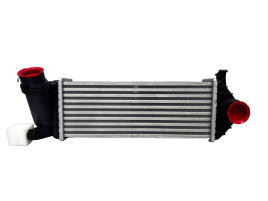 Renault Радіатор інтеркулер Renault Kangoo (Рено Кенго) 2008-2020 6062J8-3