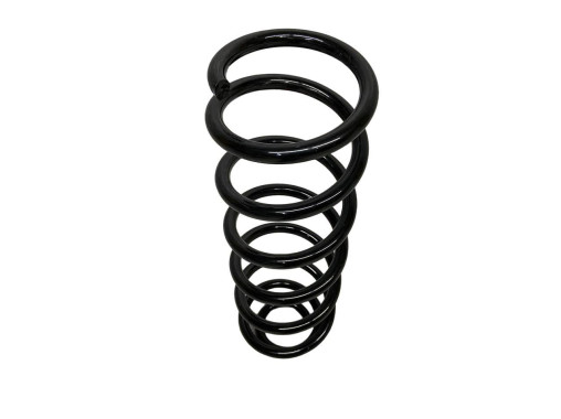 Solgy Пружина передня Renault Megane 3 (Рено Меган 3 550200020R - Заображення 7