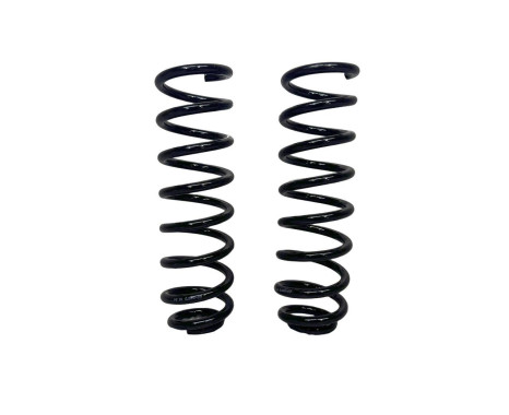 Renault Пружини підвіски задні Renault Megane Scenic 2 (Рено Меган Сценік 2) 2003-2009 60-0407D - Заображення 2